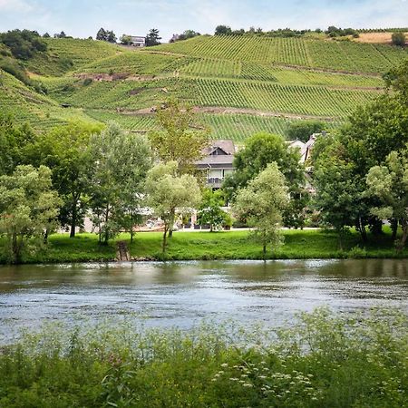 Hotel Moselblick Winningen Zewnętrze zdjęcie