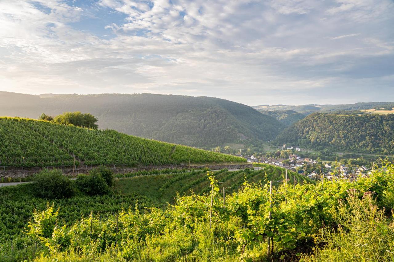 Hotel Moselblick Winningen Zewnętrze zdjęcie